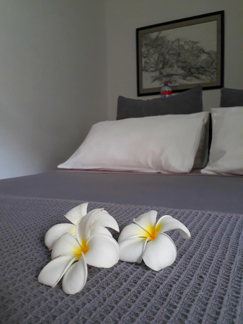 "27" Spathodea- Oasis In The City Colombo Ngoại thất bức ảnh